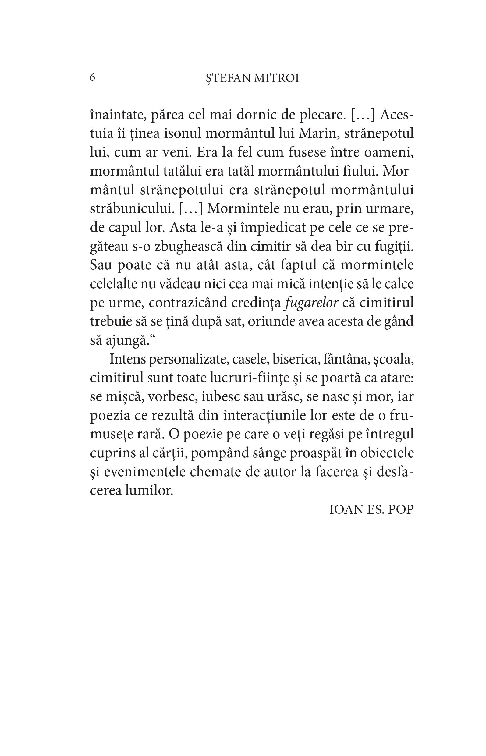 Goarna lui Tuturuz | Stefan Mitroi