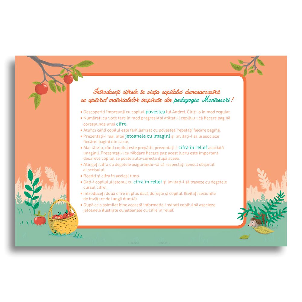 Cutia mea cu cifre Montessori | Claire Frossard