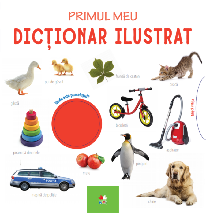 Primul meu dictionar ilustrat |