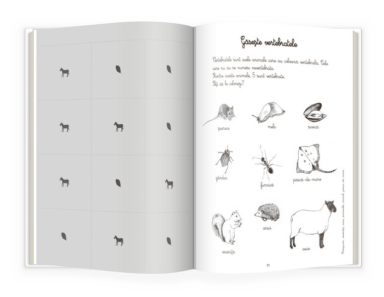 Animale si insecte | Eve Herrmann