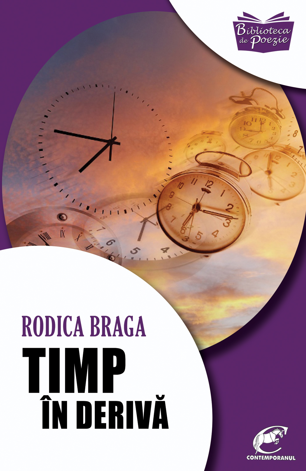 Timp in deriva | Rodica Braga