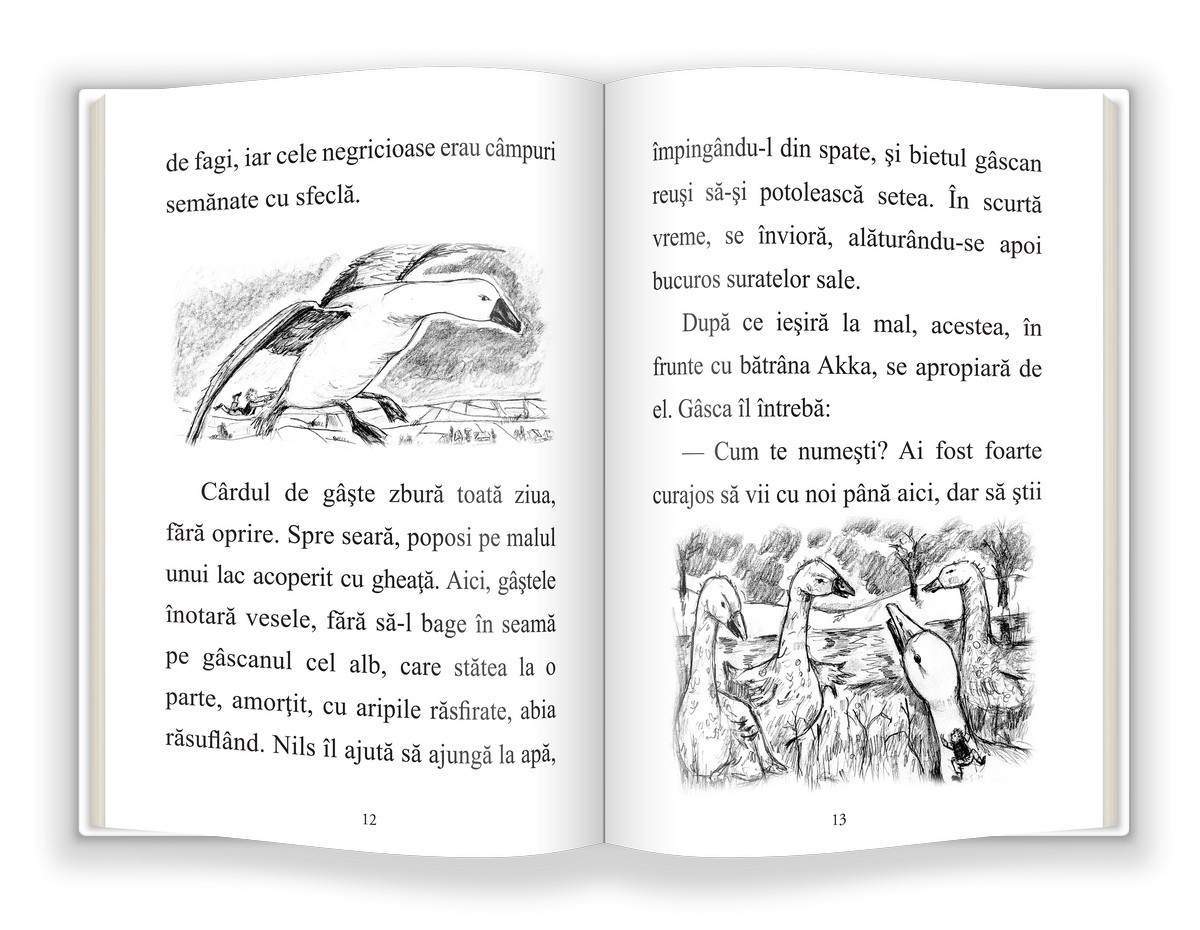 Minunata calatorie a lui Nils Holgersson | Selma Lagerlof - Gama