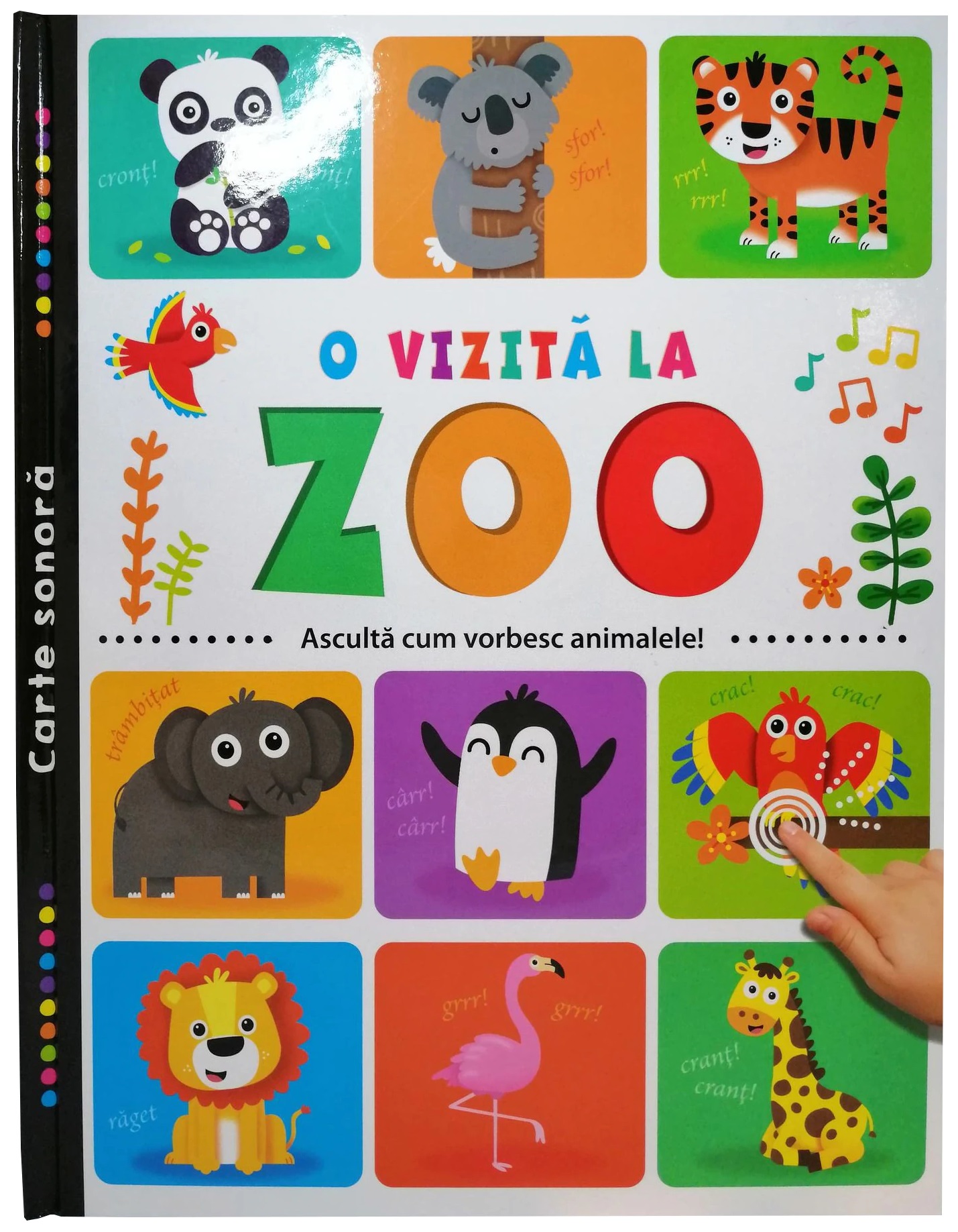 O vizita la Zoo |
