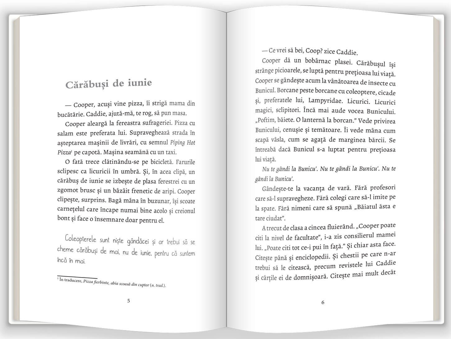 Insemnarile lui Cooper Cameron | Jane O'Reilly