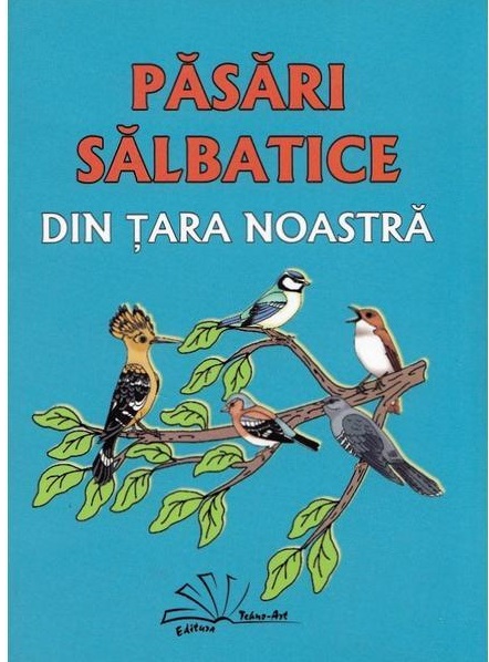 Pasari salbatice din tara noastra  | Daniela Dosa