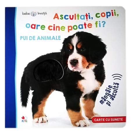 Ascultati, copii, oare cine poate fi? Pui de animale |