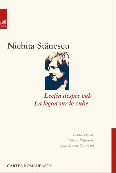Lectia despre cub | Nichita Stanescu