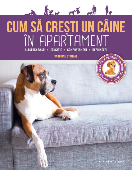 Cum să cresti un caine in apartament |