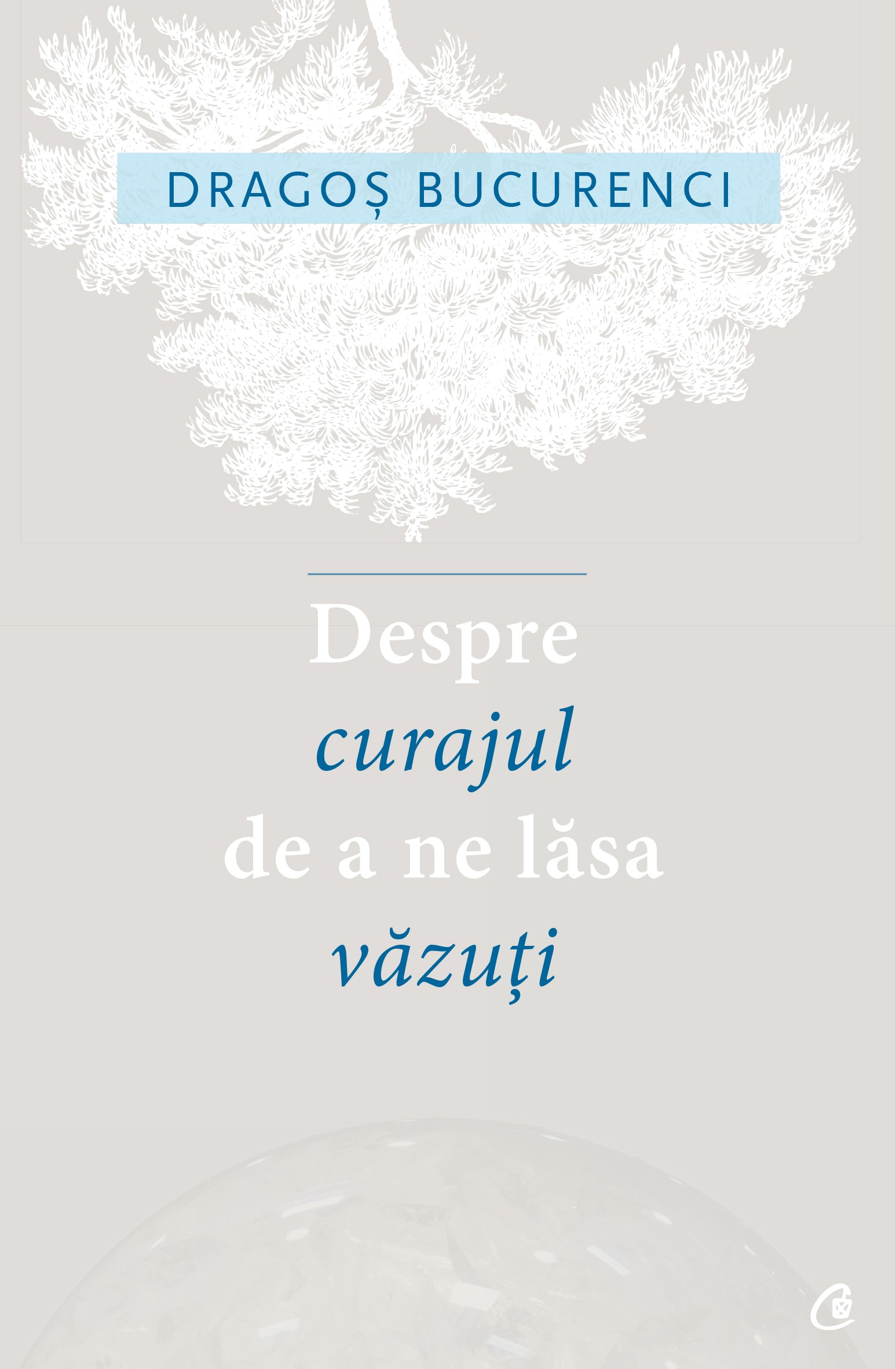 Despre curajul de a ne lasa vazuti | Dragos Bucurenci - Curtea Veche Publishing