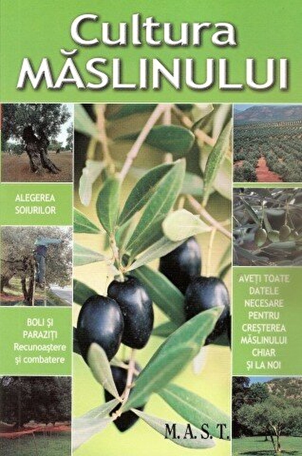 Cultura maslinului | Jean-Marie Polese - M.A.S.T
